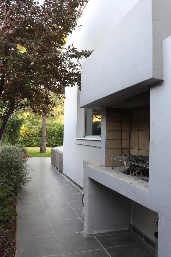 Virna S Daire Schinias